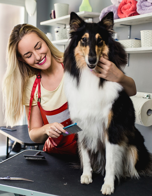 Website,%20App%20&%20AI%20solution%20provider