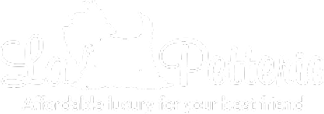 Website,%20App%20&%20AI%20solution%20provider